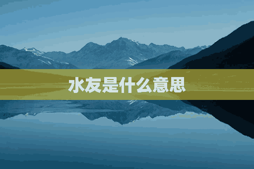 水友是什么意思